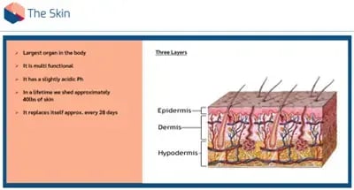 Pressure Care and Moisture Lesion Awareness skin