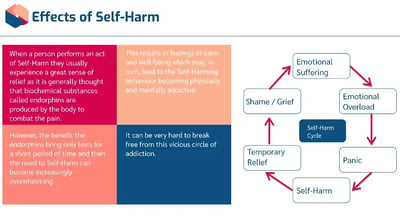 Self-Harm Awareness effects of self-harm